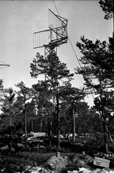 RK-01 riktantenn